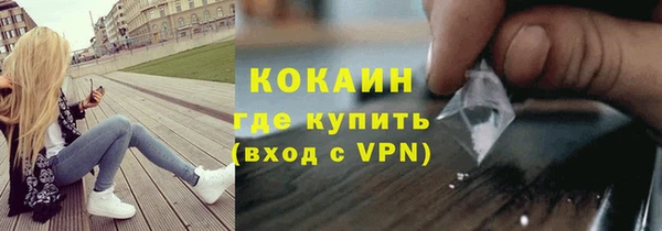 стаф Алексин