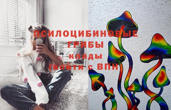 бошки Новокубанск